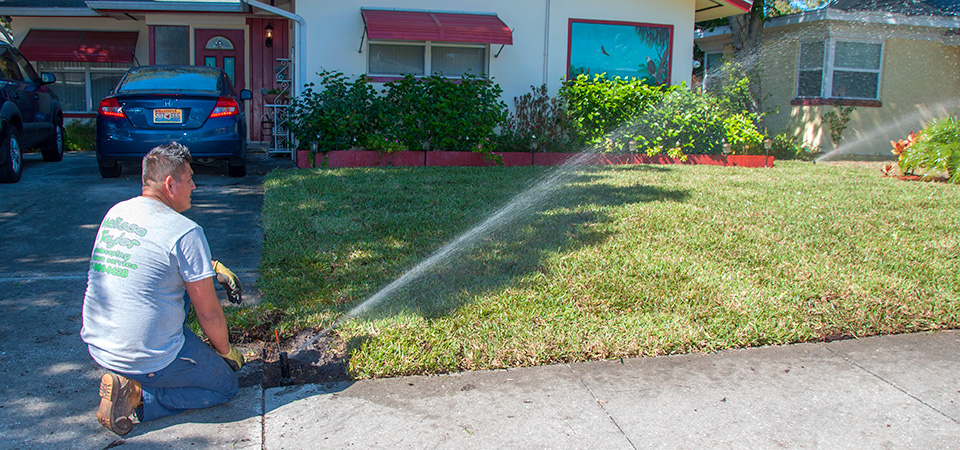 Irrigation and Sprinkler Services